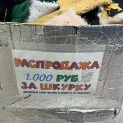 Распродажа 1.000₽ за шкуру купить онлайн